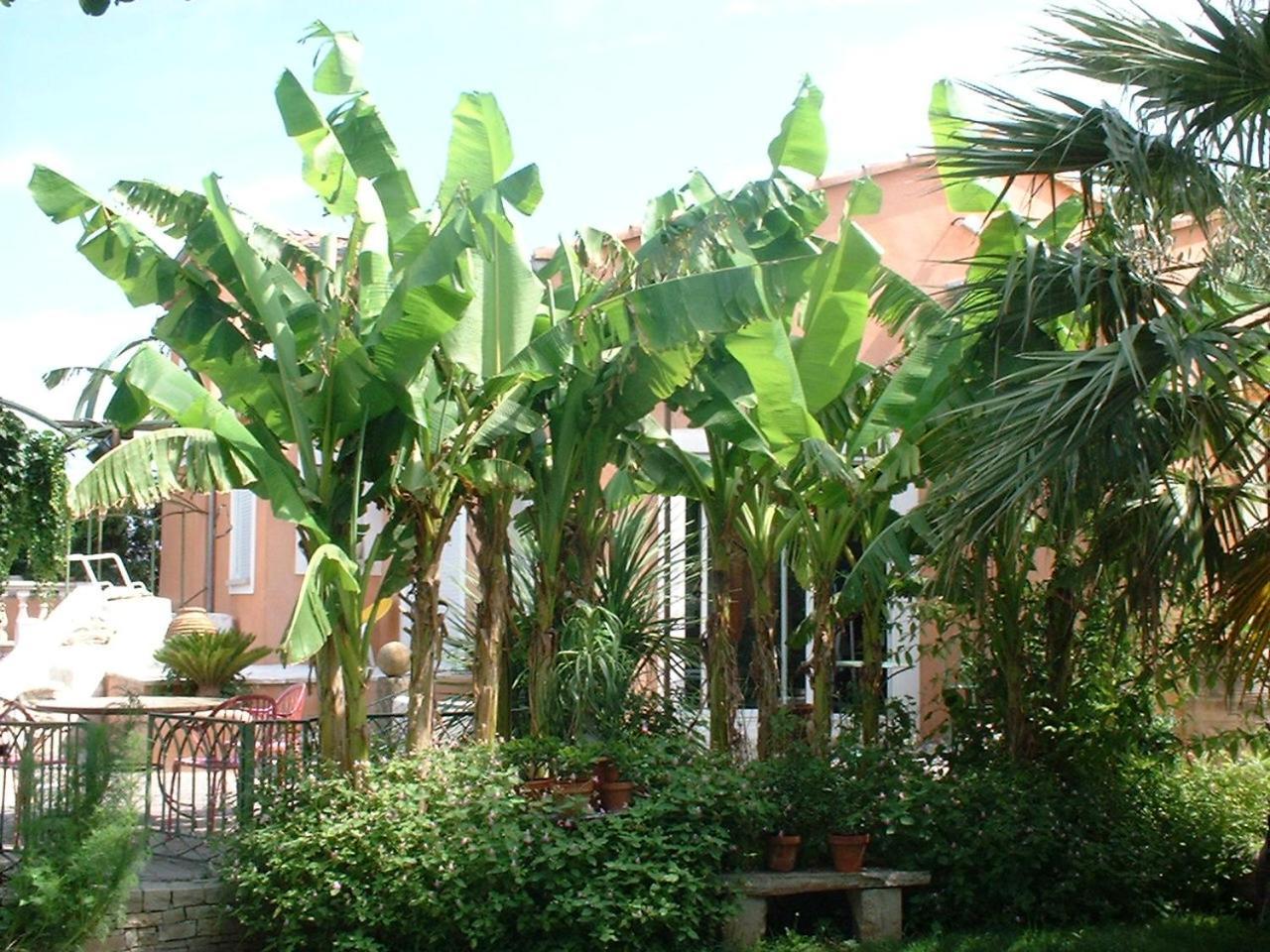 Campagne Hotel Montélimar Kültér fotó